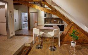 Deluxe apartment with maisonette